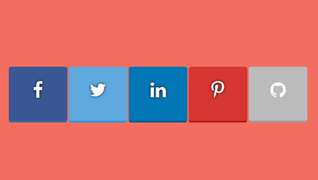 flat-beauty-social-button-with-css3-transition