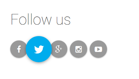 follow-us-pure-css-social-buttons